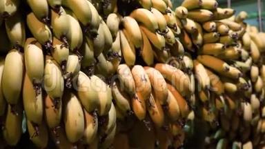 在市场上有机香蕉一串香蕉在当地市场上出售